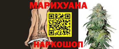 сатива Краснокаменск