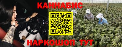сатива Краснокаменск