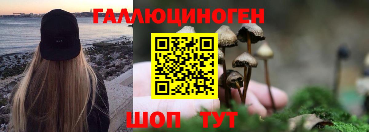 Псилоцибиновые грибы Psilocybe Изобильный